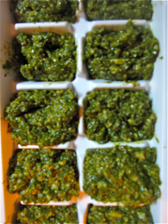 pesto cube tray.jpg